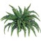 Set of 2 Boston Fern Plants 60 Silk Fronds, 48" Wide | UV Resistant Décor | Floral Home®